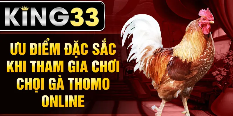Ưu điểm đặc sắc khi tham gia chơi chọi gà Thomo online