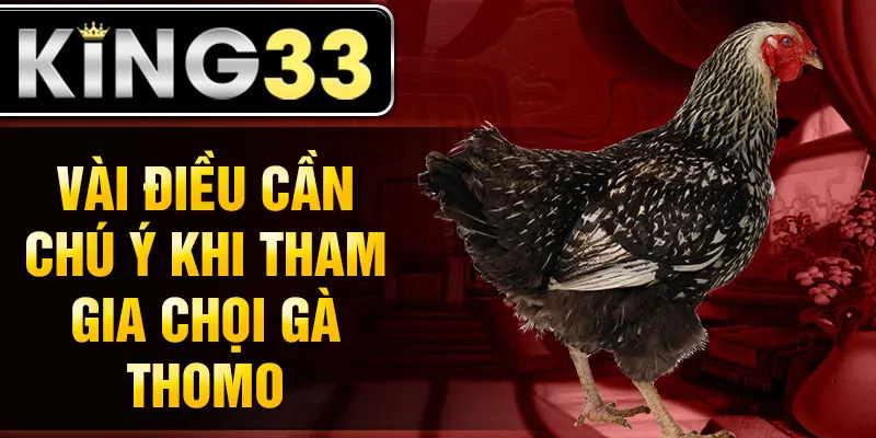 Vài điều cần chú ý khi tham gia chọi gà Thomo